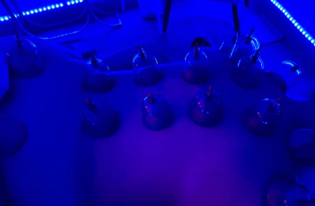 cupping
